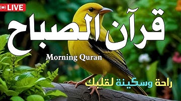 قران الصباح 🧡قران كريم/ للرزق والبركة وتحصين المنزل / بصوت هادئ وحنين يملئ قلبك بالامان🌹