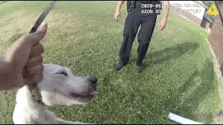 Full Video - Loveland PD Attacks Family and Pet Dog Over a Slap