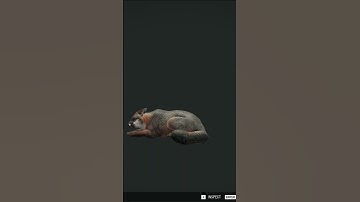 So I guess there are trains in this game... 😅🚂 | theHunter: Call of the Wild #shorts