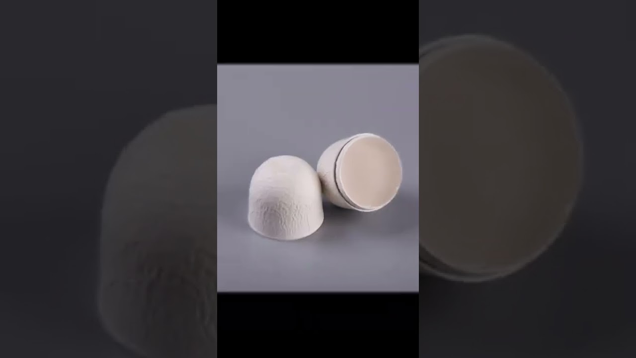 Eco friendly paper pulp packaging