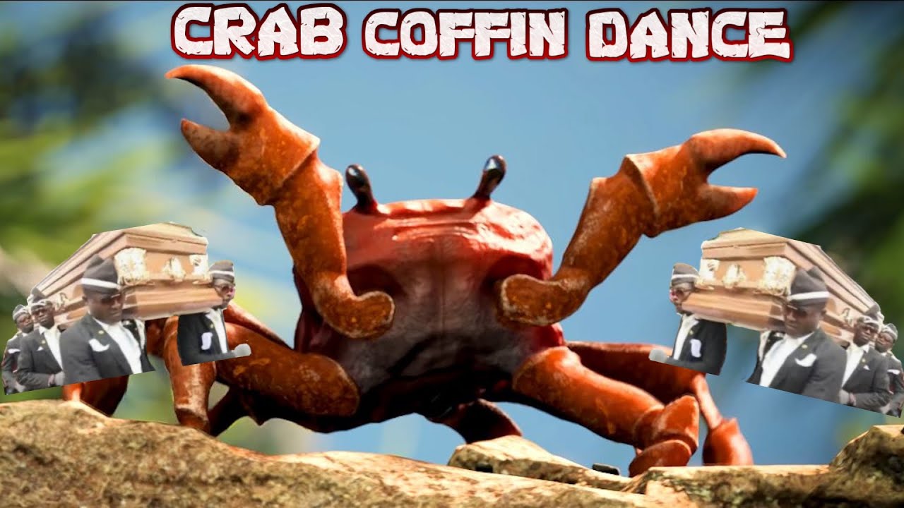 Crab Coffin Dance YouTube