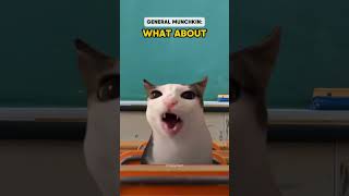 CAT MEME: A Competitive Class Be Like | AC: BumpyBear Profile