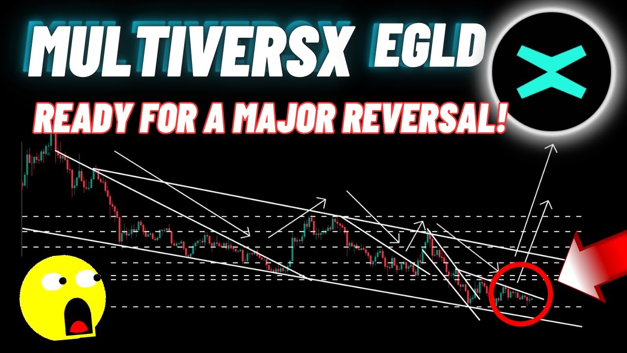 Грядет прорыв EGLD? MultiversX готов к серьёзному развороту!
