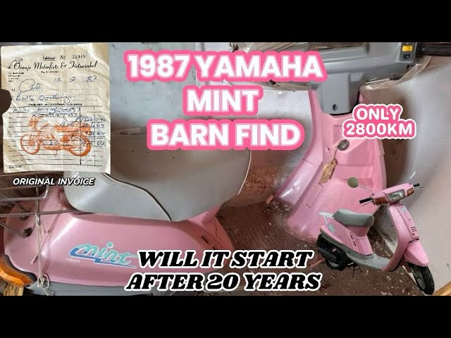 Yamaha Mint 50cc Two-Stroke Scooter Barn Find |Full Restoration