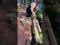 Push it Good - pushing the posts apart