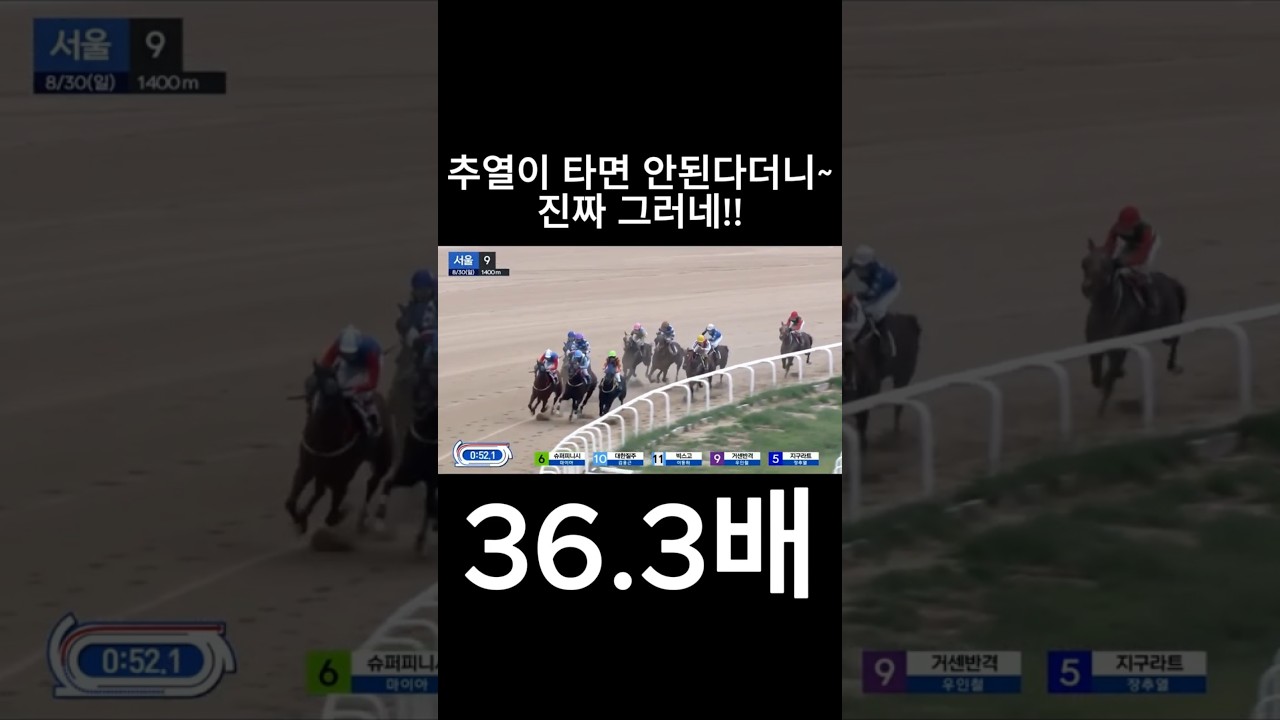 추열이 타면 안된다더니  #경마  #경마예상  #경마방송  #경마예상방송  #서울경마  #금요경마  #토요경마  #일요경마 #경마장