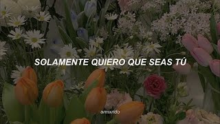 Camila — Coleccionista de Canciones [Letra]