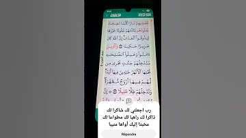سورة النساء الآية 56-57 سعد الغامدي
