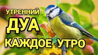 Дуа утро أذكار الصباح защитить вас вес день! Утренний дуа каждое утро!