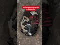 Poor Puppy Dead Beacuse Of Cold | Sad Life Of Stray Dogs