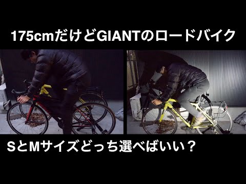 hqdefault.jpg