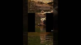 Open wide. This won't hurt 😁