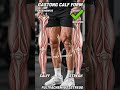 Fix Your Calf Raises ❌✅ | Build Bigger Calves Fast 🔥 #Shorts