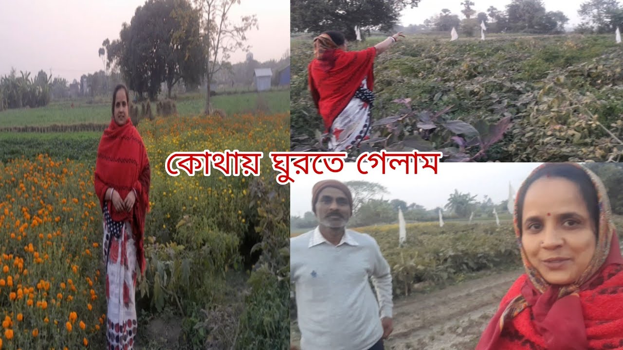 কোথায় ঘুরতে গেলাম | 