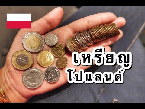 วิธีการนับเหรียญในประเทศโปแลนด์ | Cherry Zaza - Youtube