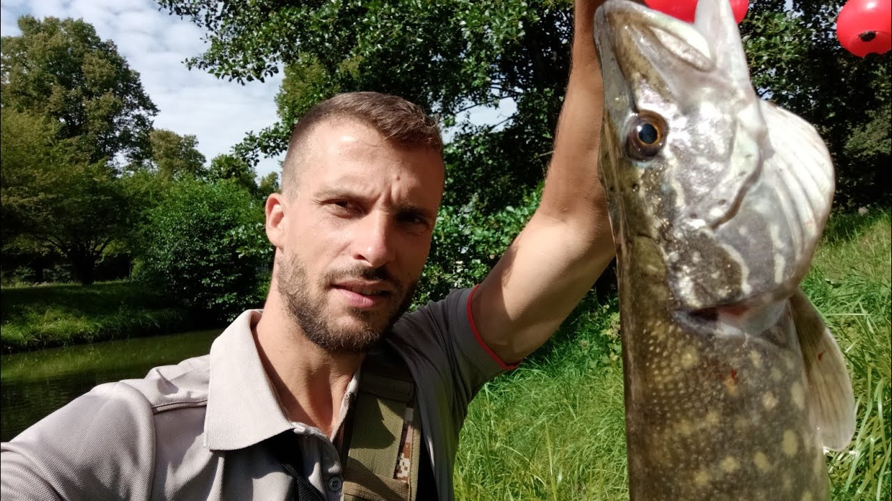 Мой ТОП приманок на щуку 2025