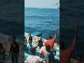 #fishermen 🌊🐟🔥 #shorts #trending #fyp #explore #views #viral #vlog #shorts #sea #foryou #fishboat