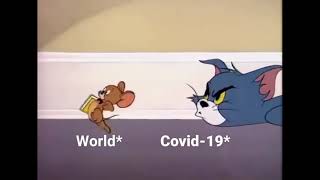 Tom & Jerry Cartoon Little School Mouse Covid 19 Compilation China & World