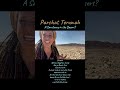 Parshat Terumah A Sanctuary In The Desert With Nili Salem Parshat Terumah A Sanctuary In The Desert With Nili Salem