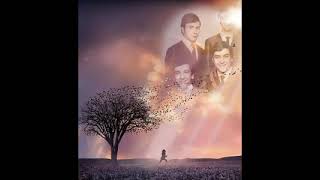 Mavi Işıklar - Dön Artık Video Için Sevgili Haluk Oktaymene Teşekkür Ederiz.