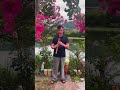 Native American Flute | Relax, Breathe, Let Go