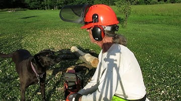 Debarking "Log Wizard" tool