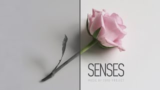 Zero - Project - Senses