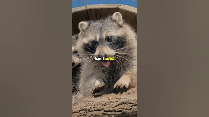 Nature's Most Fascinating Animal Behaviors Explained! thumbnail