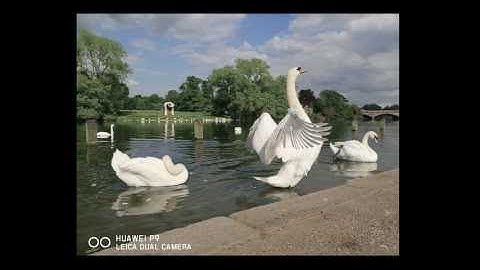 DaVinci Resolve in Under 5 Minutes: Copying Grades to Multiple Clips