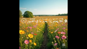 سورة العاديات -ياسر الدوسري #المصحف #قرآن #قران_كريم