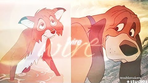 Walking The Wire | Animash | MEP