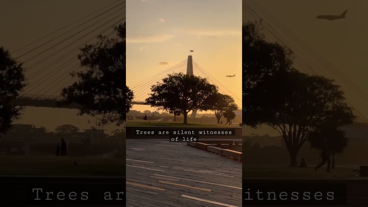 Beautiful Australian sunset 