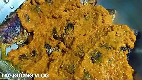 CÁ SỐT CHUA CAY VÀ DẠ DÀY XÀO GIÒN | LẠC ĐƯỜNG VLOG