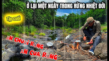 Ở lại trong rừng một ngày săn bắt cút ăn cua chuối rừng để sống sót tập cuối |a day in the forest