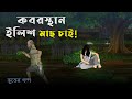 কবরস্থান ইলিশ মাছ চাই! ভুতের কার্টুন । বাংলা ভুতের গল্প