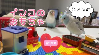 インコのおもちゃ部屋