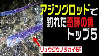 バズベイト スピナーベイト いいえ ジャッカルの進化版ワイヤーベイト Gargle ガーグル です ルアマガ Line News