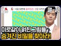 [티비냥] 아니 저게 뭐야...?😳 비밀 & 패턴을 알고 나면 소름 돋는 이미지들.. ???: 야! 매직아이 해봐! 빨리!! | #문제적남자