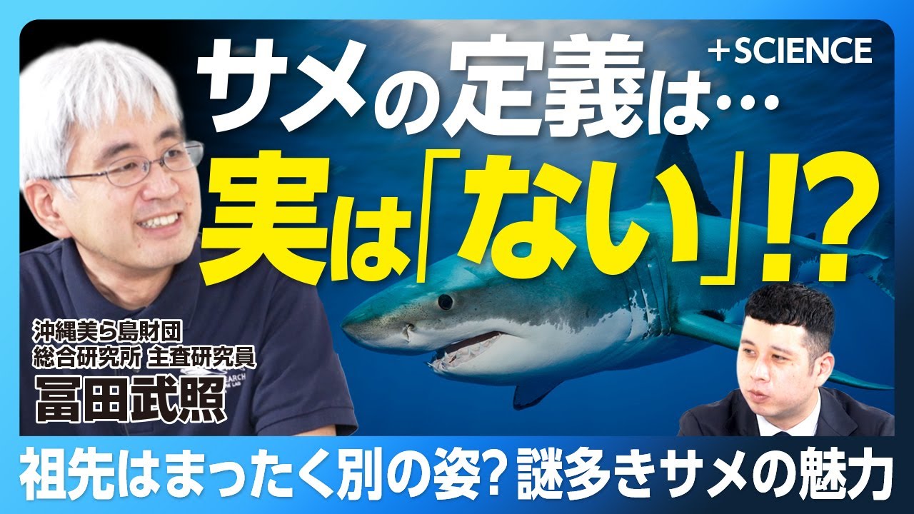 さっき食べたら出たサメ YouTube