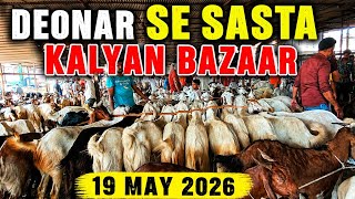 Kalyan Bakra Mandi Live Update 