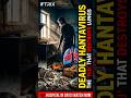 What Happens If You Get the Hantavirus? The Deadly Virus Hidden in Dust!