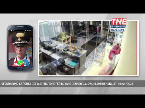 SFONDARONO LA PORTA DEL DISTRIBUTORE PER RUBARE DENARO, 3 GIOVANISSIMI DENUNCIATI | 11/04/2025