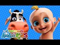 Cinco Pequenos Sapos - Músicas Infantis Divertidas - Canções para crianças  LooLoo Kids Português