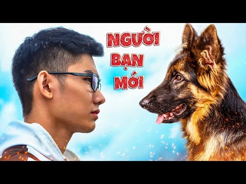 Video: Cách chào đón chú chó mới của bạn