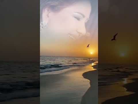 حبيبي فداك أنا ميادة الحناوي