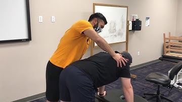 Scenario 4 - PNF in Quadruped