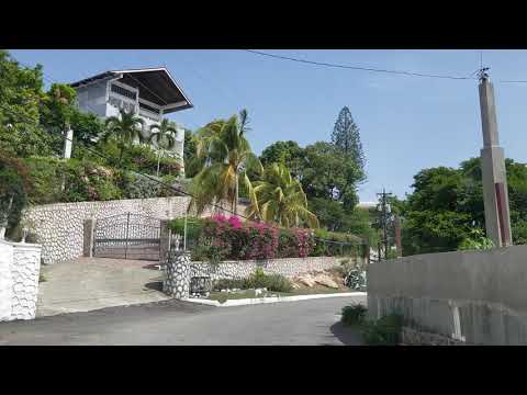 Driving through Beverly Hills | Jamaica