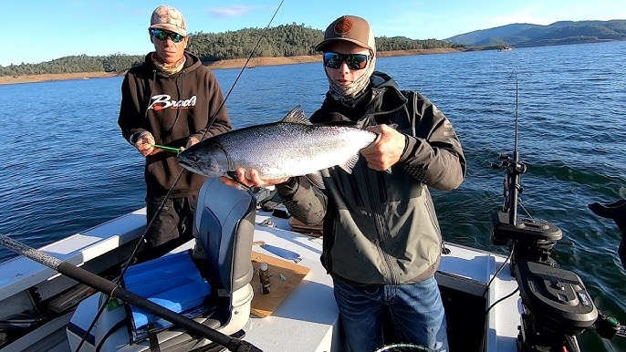 Red Hot King Salmon Bite At Folsom: How To Hook Landlocked Kings  Consistently! #fishing #salmon 