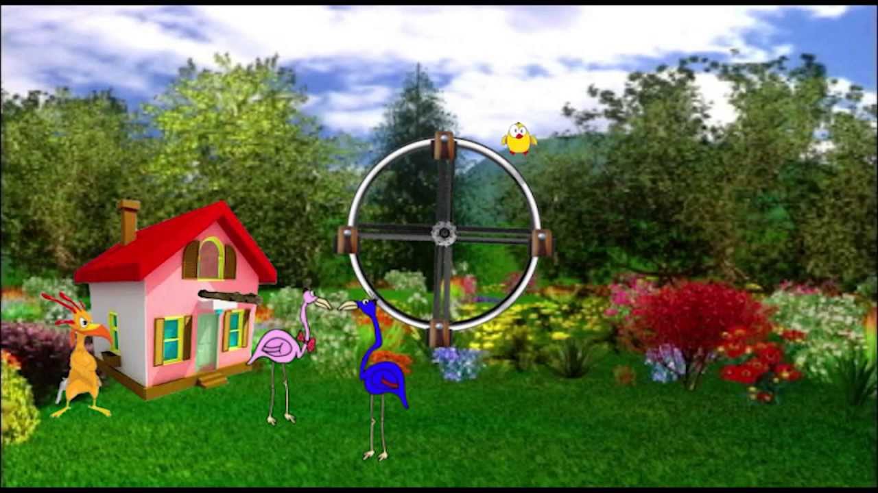 Peta Ferris Wheel Bird Feeder Youtube