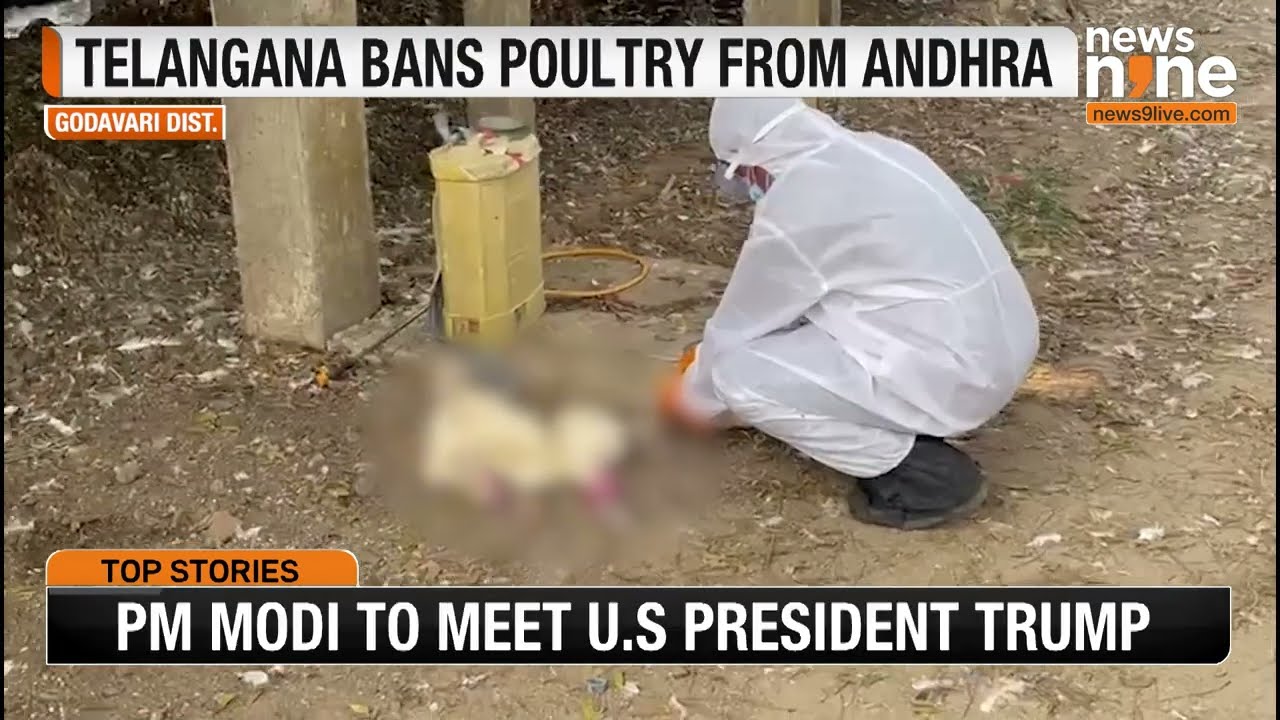 Bird Flu Outbreak Reported in Andhra Pradesh’s Godavari Region | News9